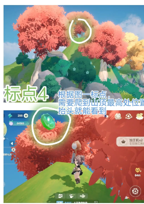 米姆米姆哈苍翠币全收集攻略
